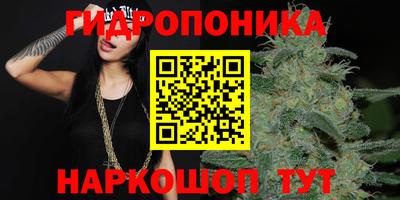 a pvp Рыбинск