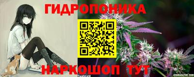 a pvp Рыбинск