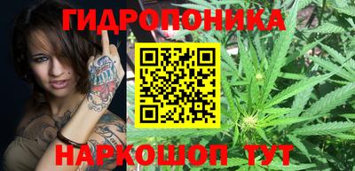 a pvp Рыбинск